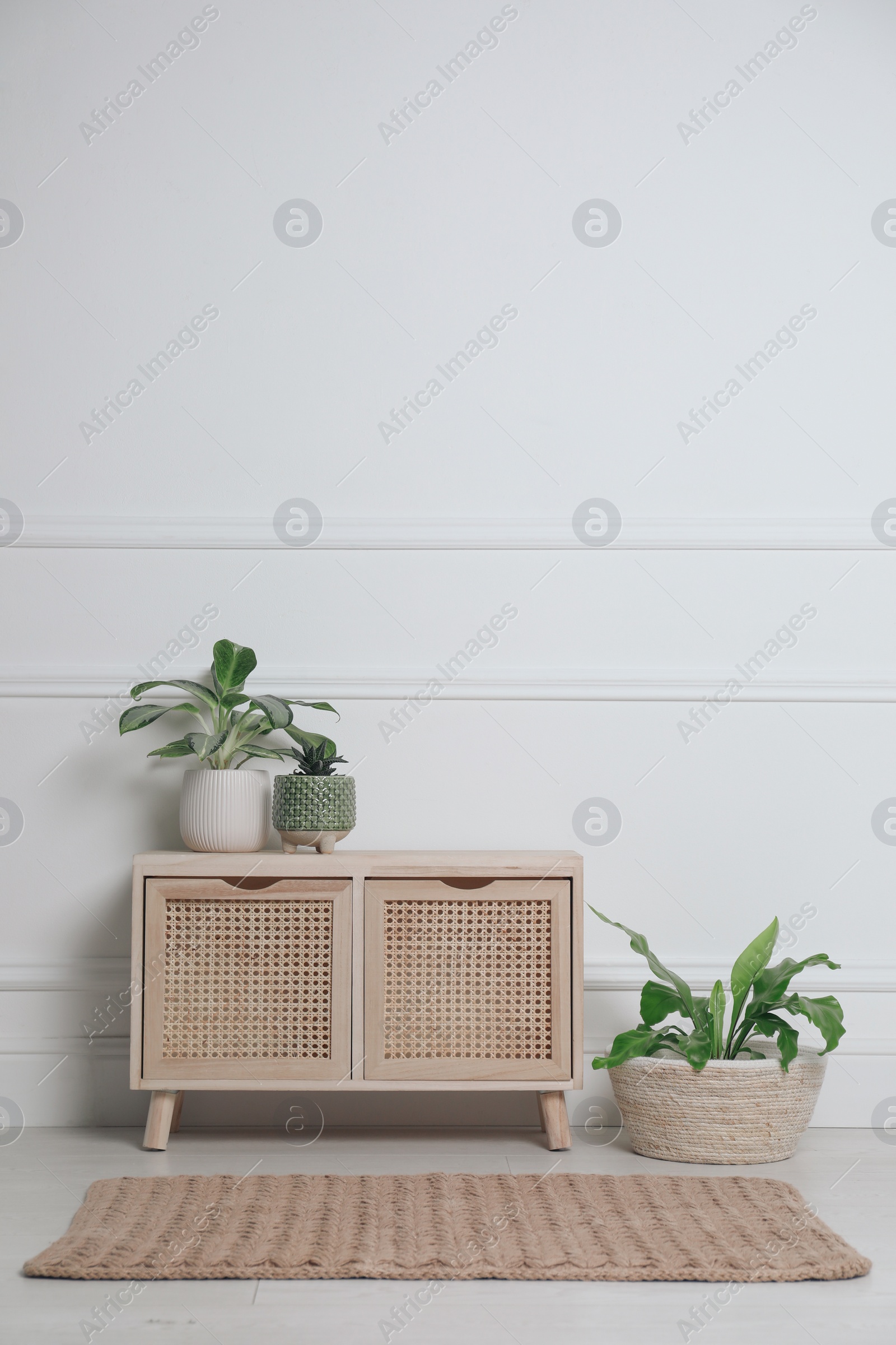 Photo of Stylish room interior with wooden chest of drawers and green plants near white wall