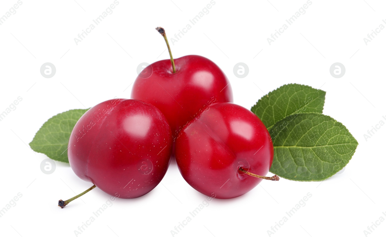 Photo of Delicious ripe cherry plums with leaves on white background
