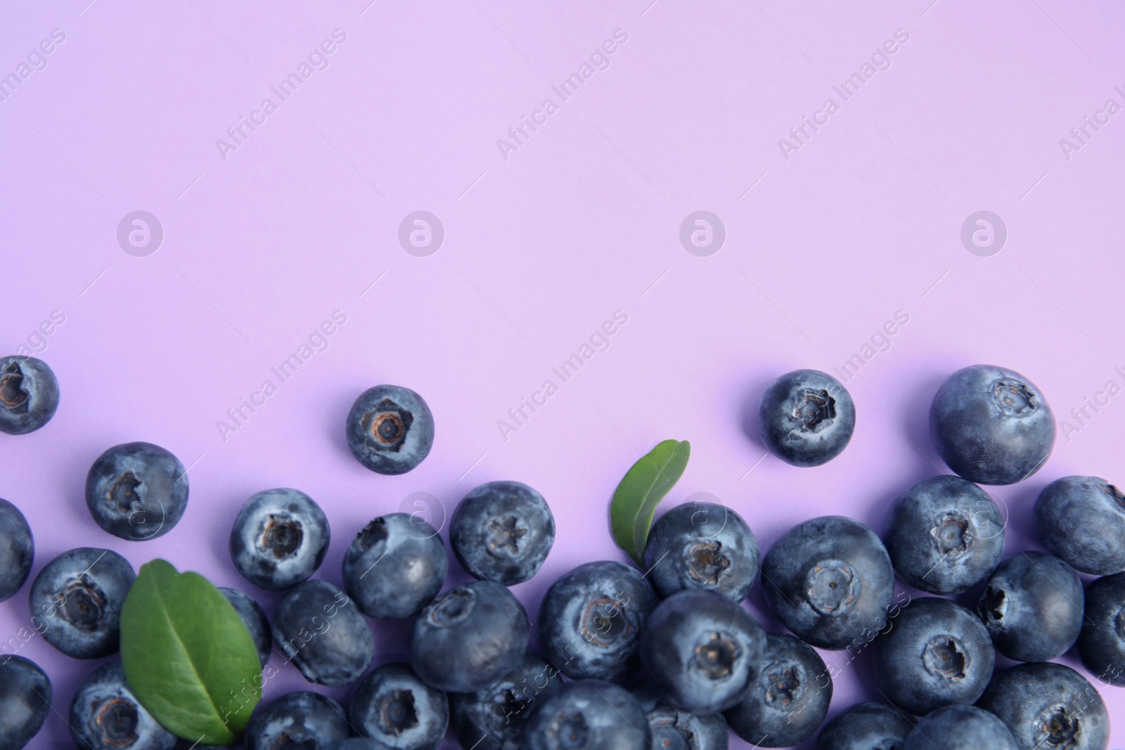 Photo of Fresh ripe blueberries on lilac background, flat lay. Space for text