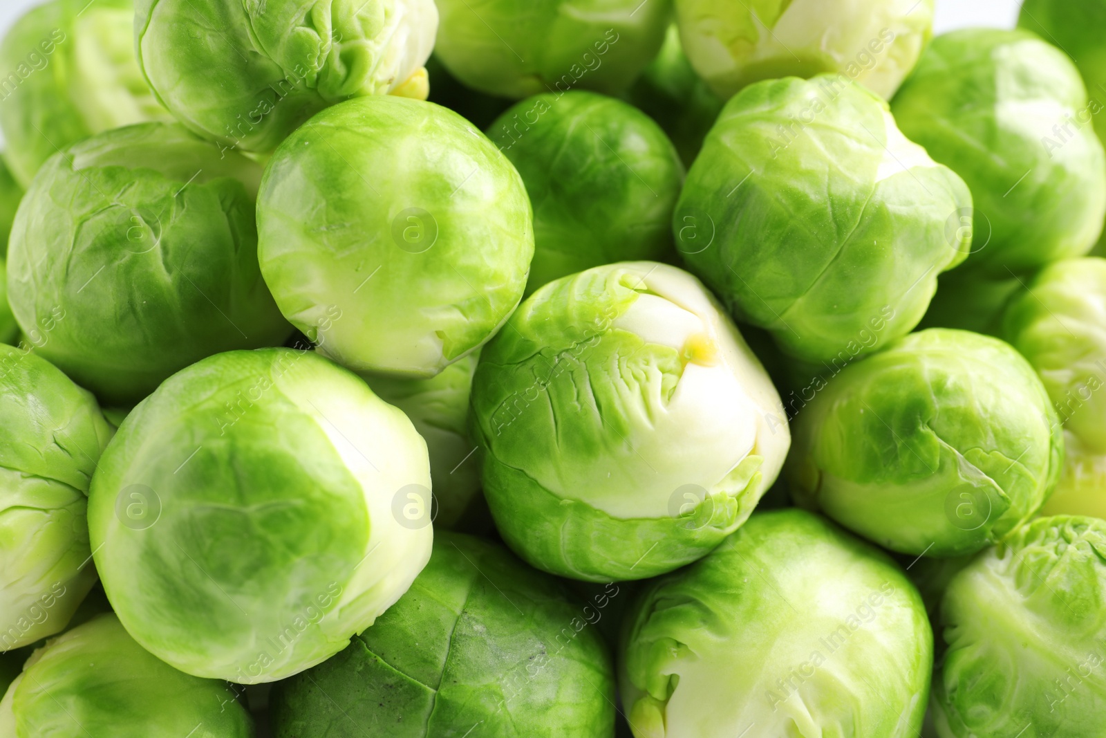 Photo of Pile of fresh Brussels sprouts as background