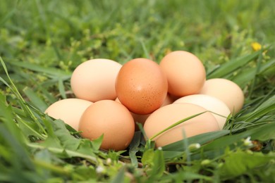 Fresh chicken eggs on green grass outdoors, closeup