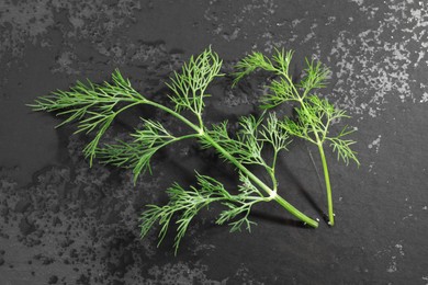Photo of Sprigs of fresh dill on grey textured table, top view
