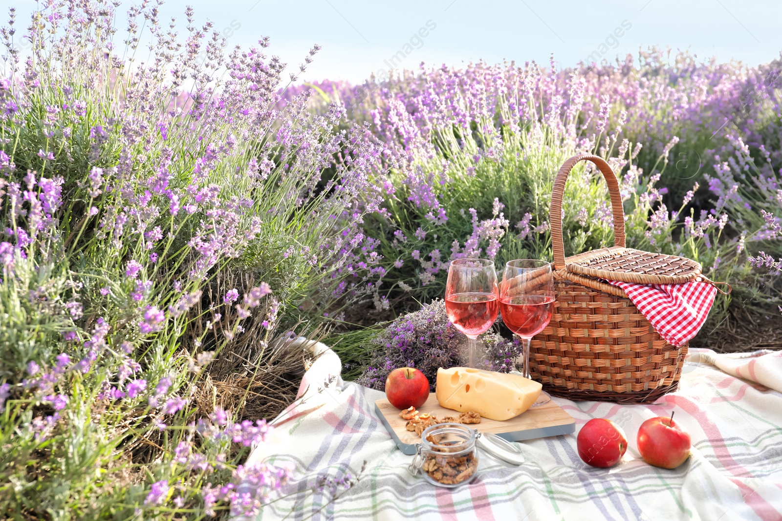 Photo of Set for picnic on blanket in lavender field