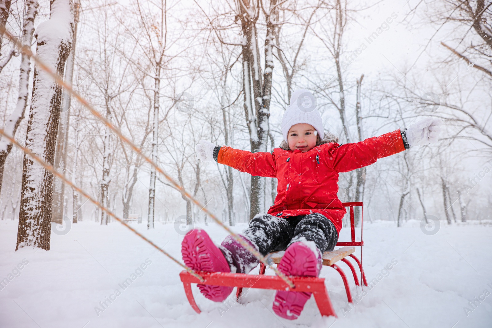 Photo of Cute little girl enjoying sleigh ride outdoors on winter day