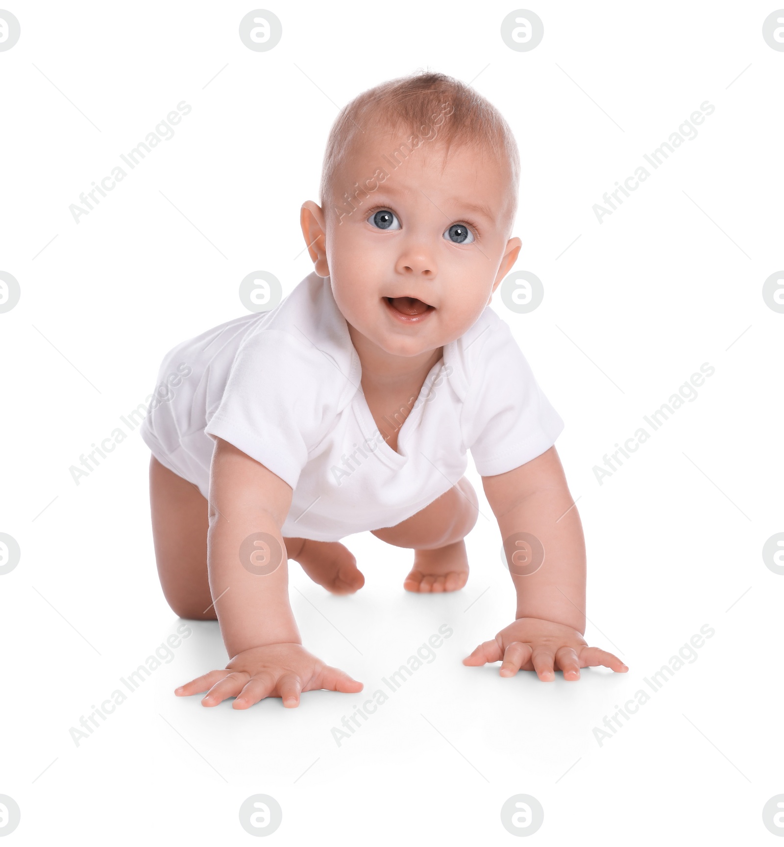 Photo of Cute little baby crawling on white background