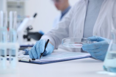 Laboratory worker holding petri dish with blood sample while working at white table, closeup