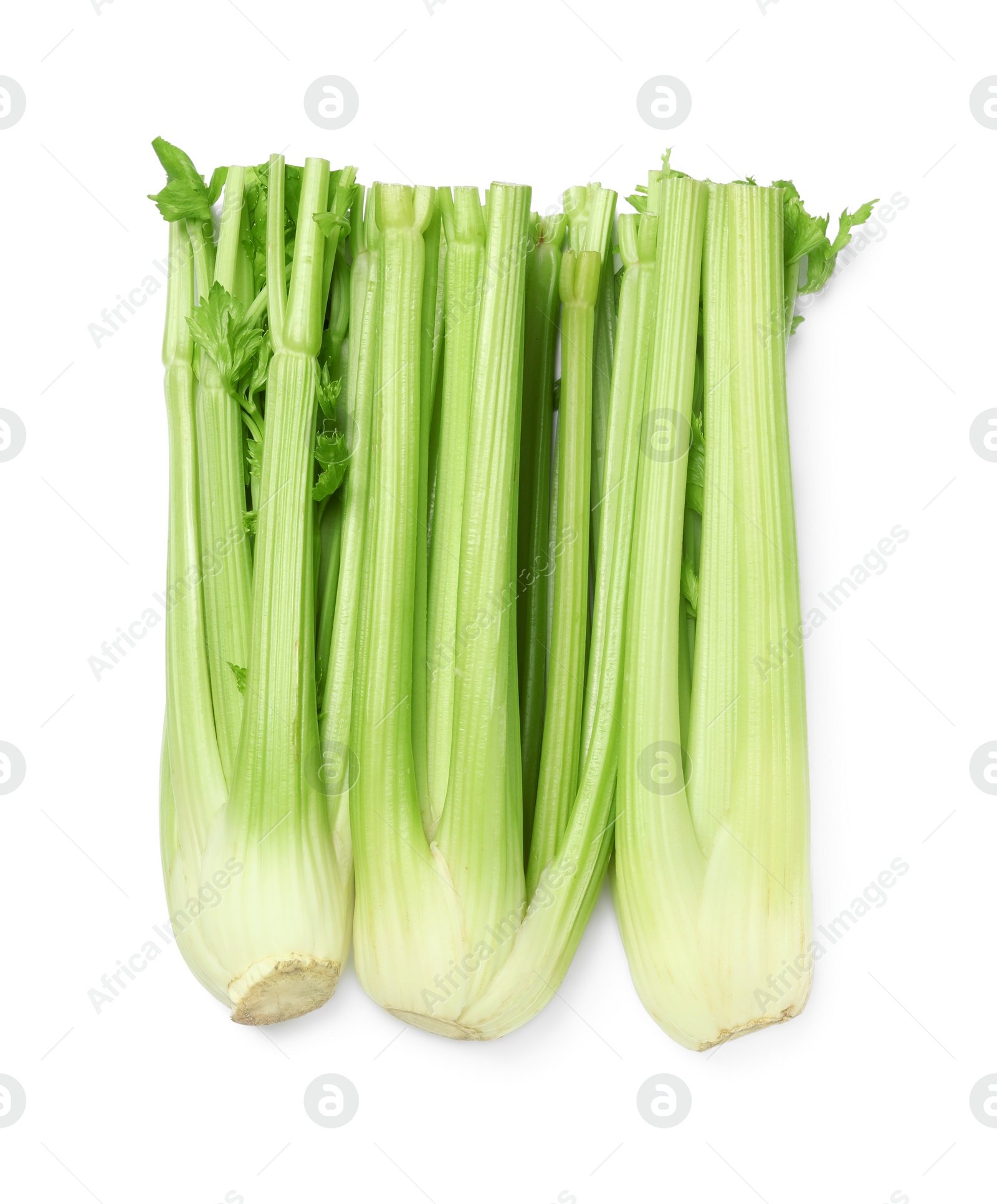 Photo of Fresh green celery bunches isolated on white, top view