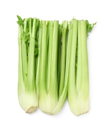 Fresh green celery bunches isolated on white, top view