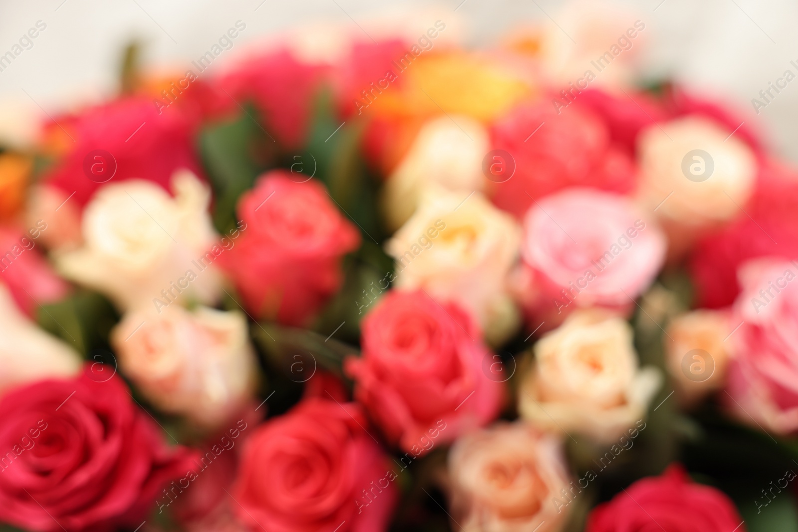 Photo of Bouquet of beautiful colorful roses, blurred view