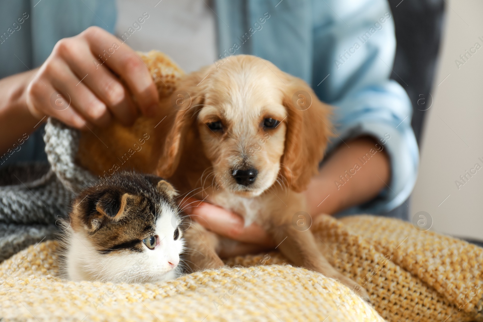 Photo of Owner with adorable little kitten and puppy, closeup