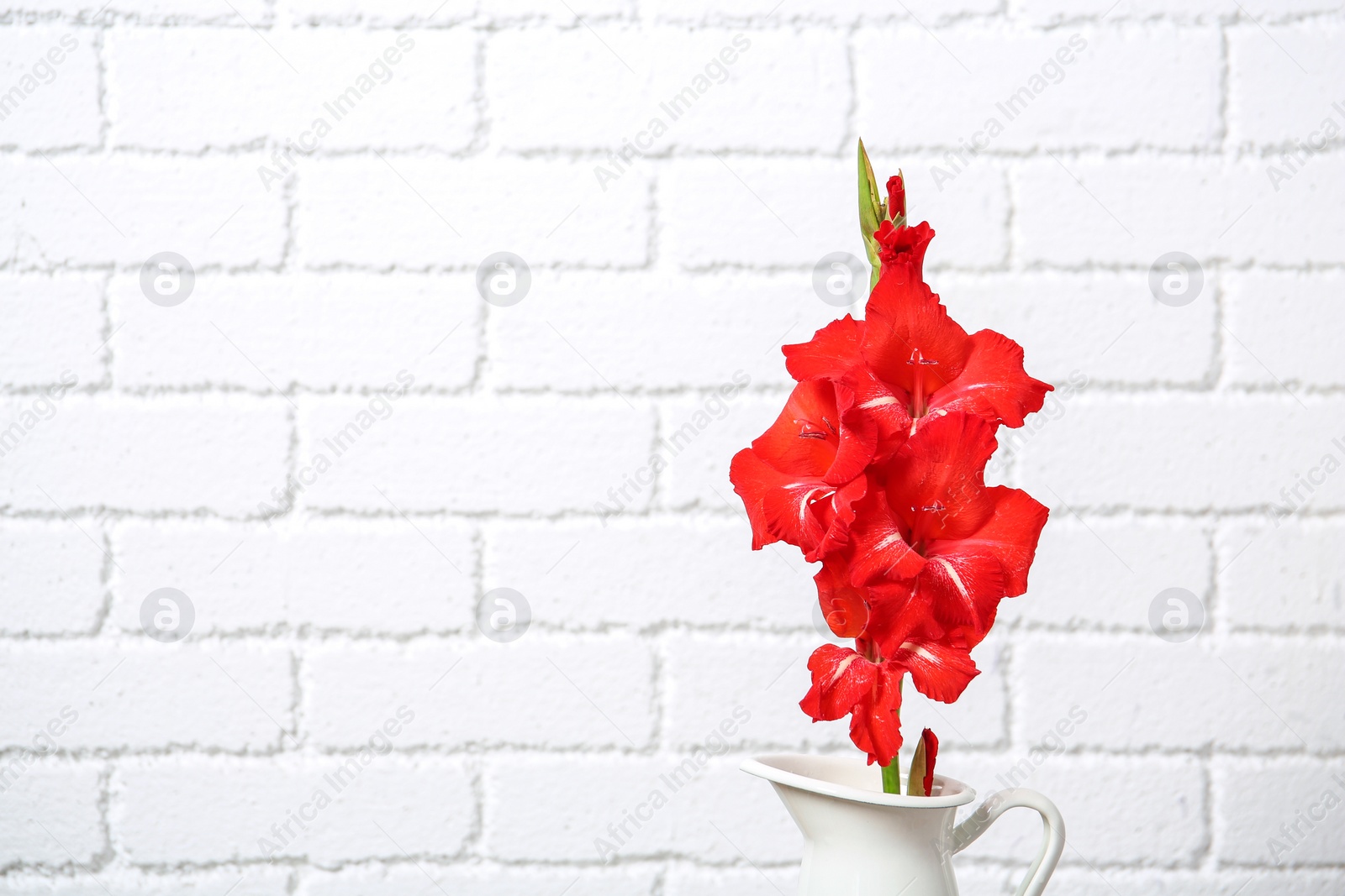 Photo of Jug with beautiful gladiolus flowers against brick wall