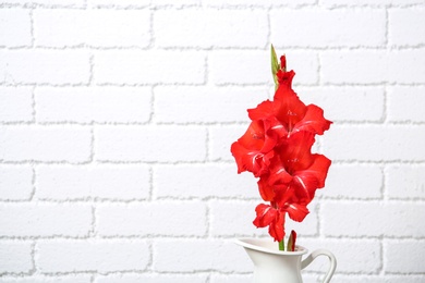 Photo of Jug with beautiful gladiolus flowers against brick wall