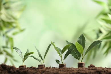 Stacked coins and young green plants on soil against blurred background