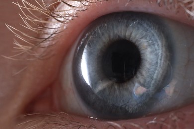 Photo of Macro photo of woman with beautiful blue eyes