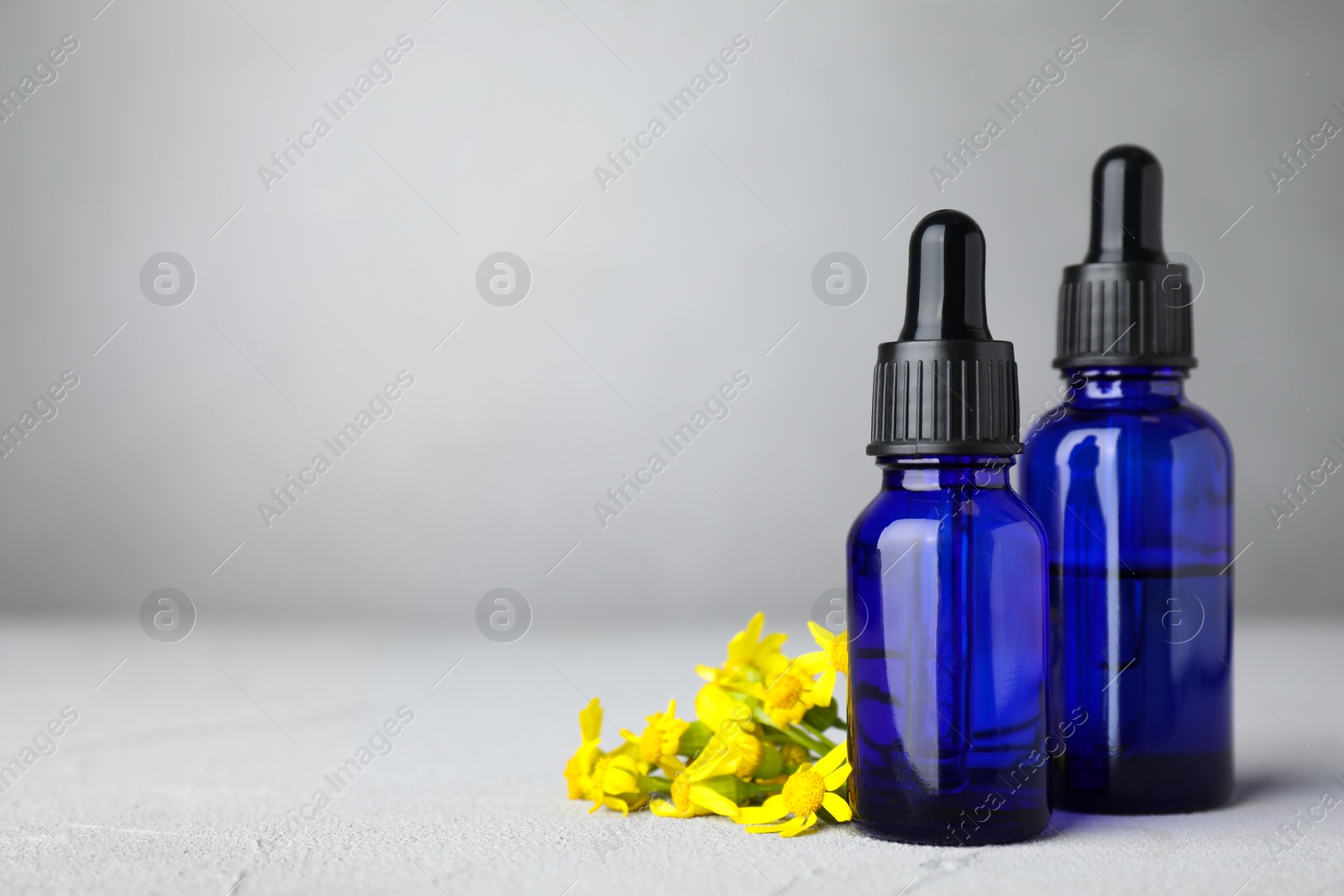Photo of Bottles of essential oil and flowers on grey table, space for text