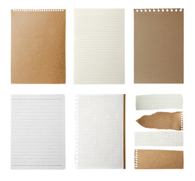 Set of different notebook papers on white background