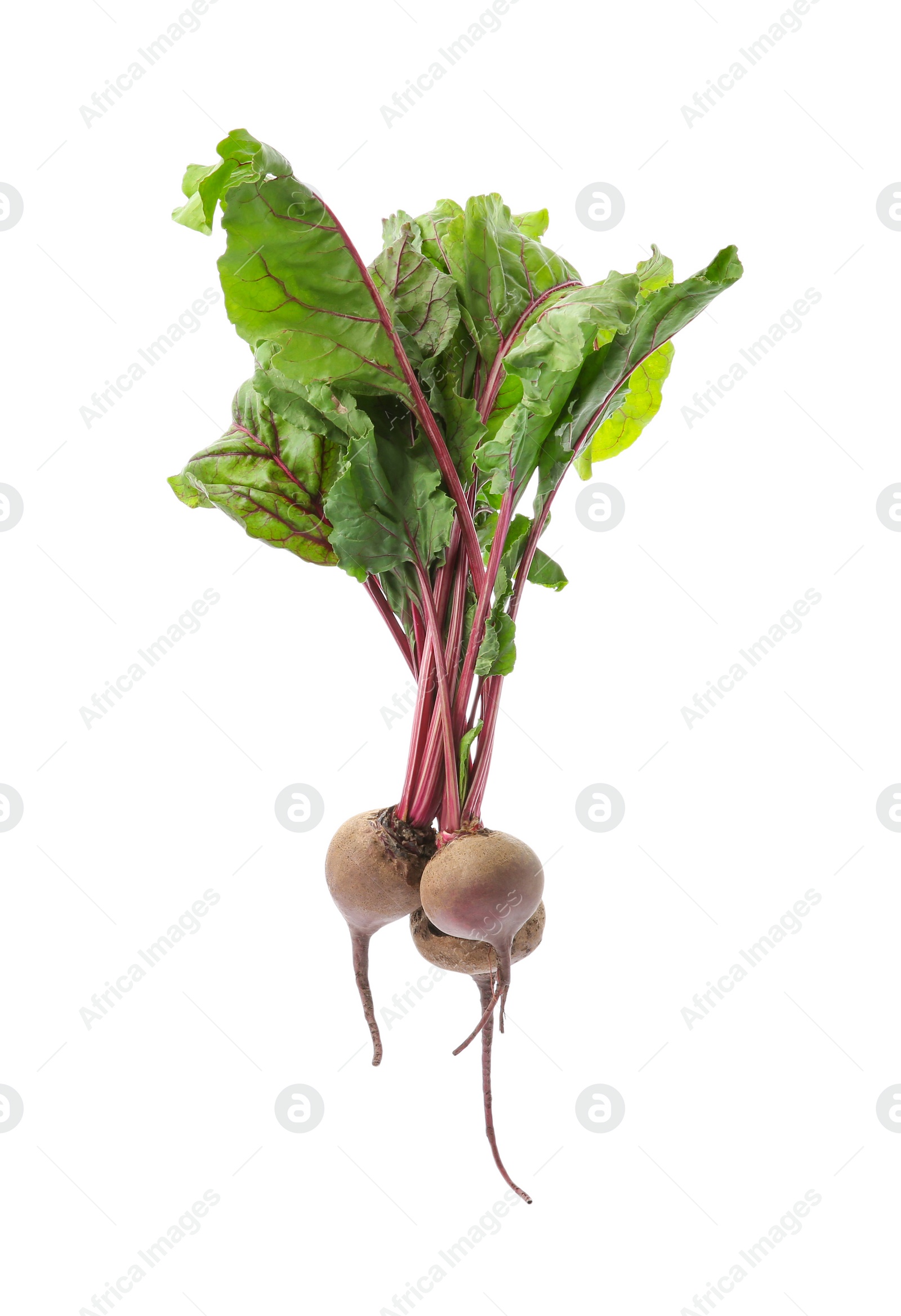 Photo of Bunch of fresh beets with leaves on white background