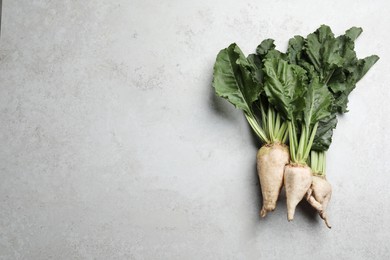 Photo of Fresh sugar beets with leaves on light grey table, flat lay. Space for text
