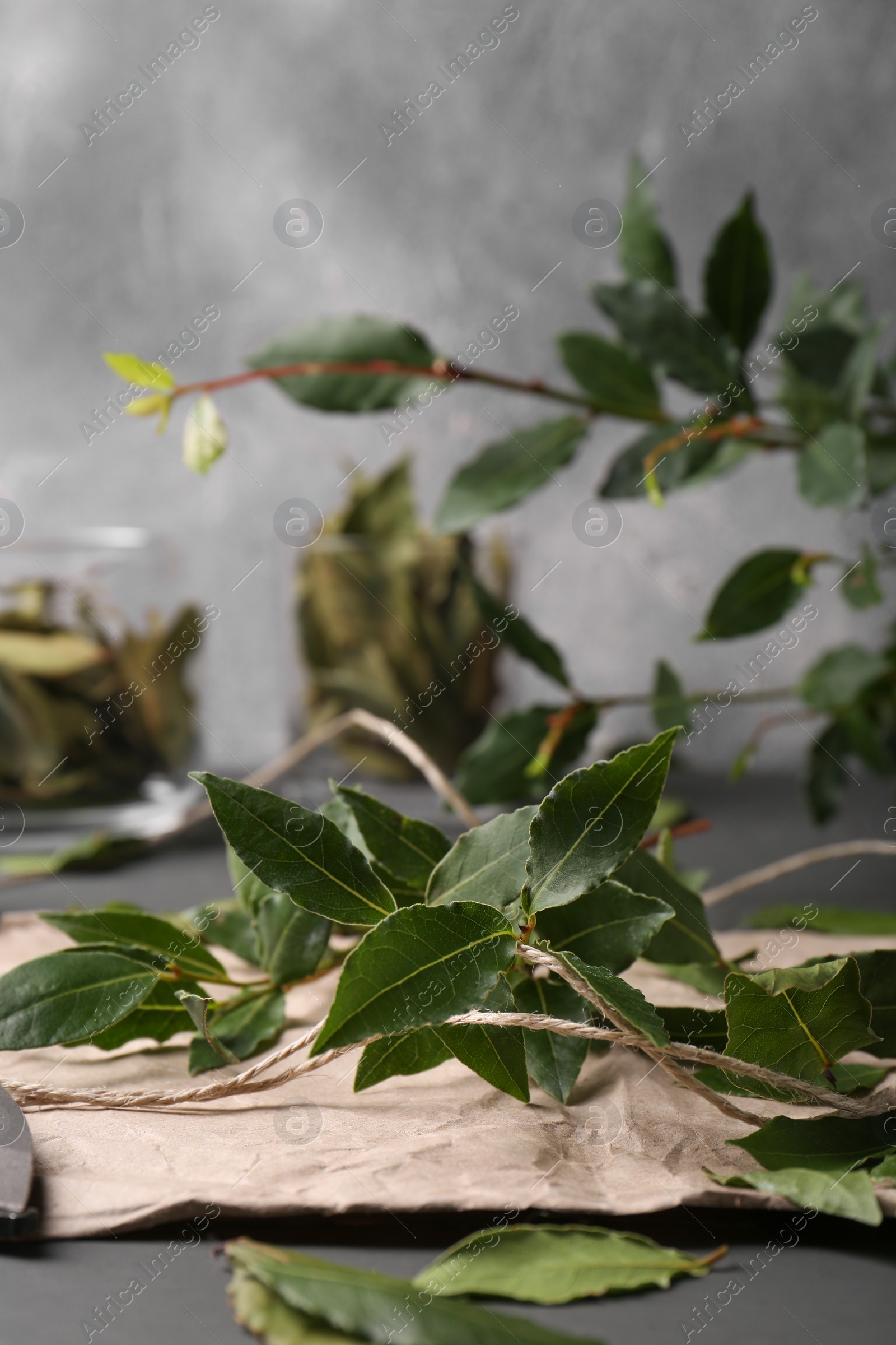 Photo of Branches of fresh green bay leaves on gray table