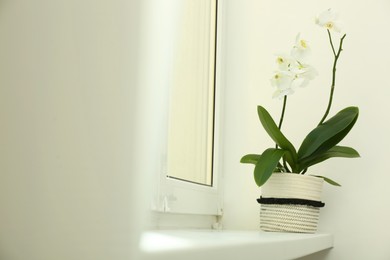 Blooming white orchid flower in pot on windowsill, space for text