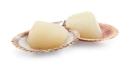 Photo of Fresh raw scallops in shells isolated on white