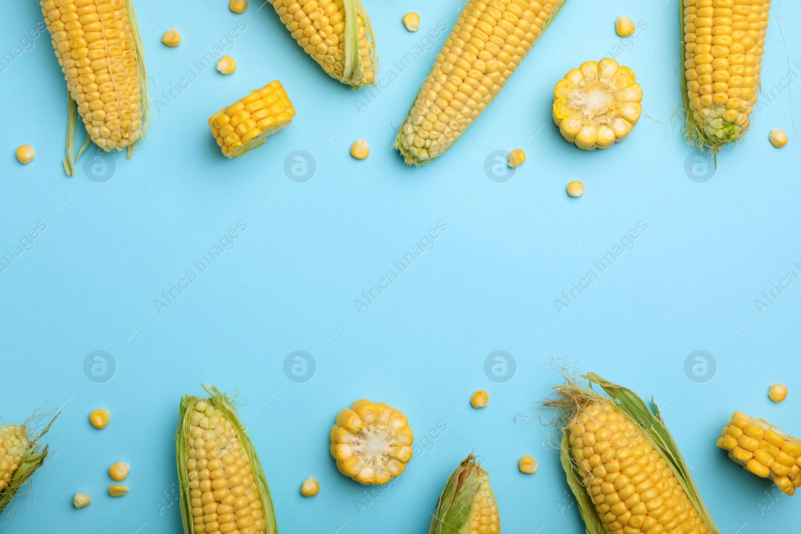 Photo of Flat lay composition with tasty sweet corn cobs on color background