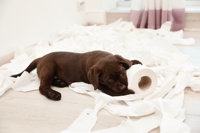 Photo of Cute chocolate Labrador Retriever puppy and torn paper on floor indoors