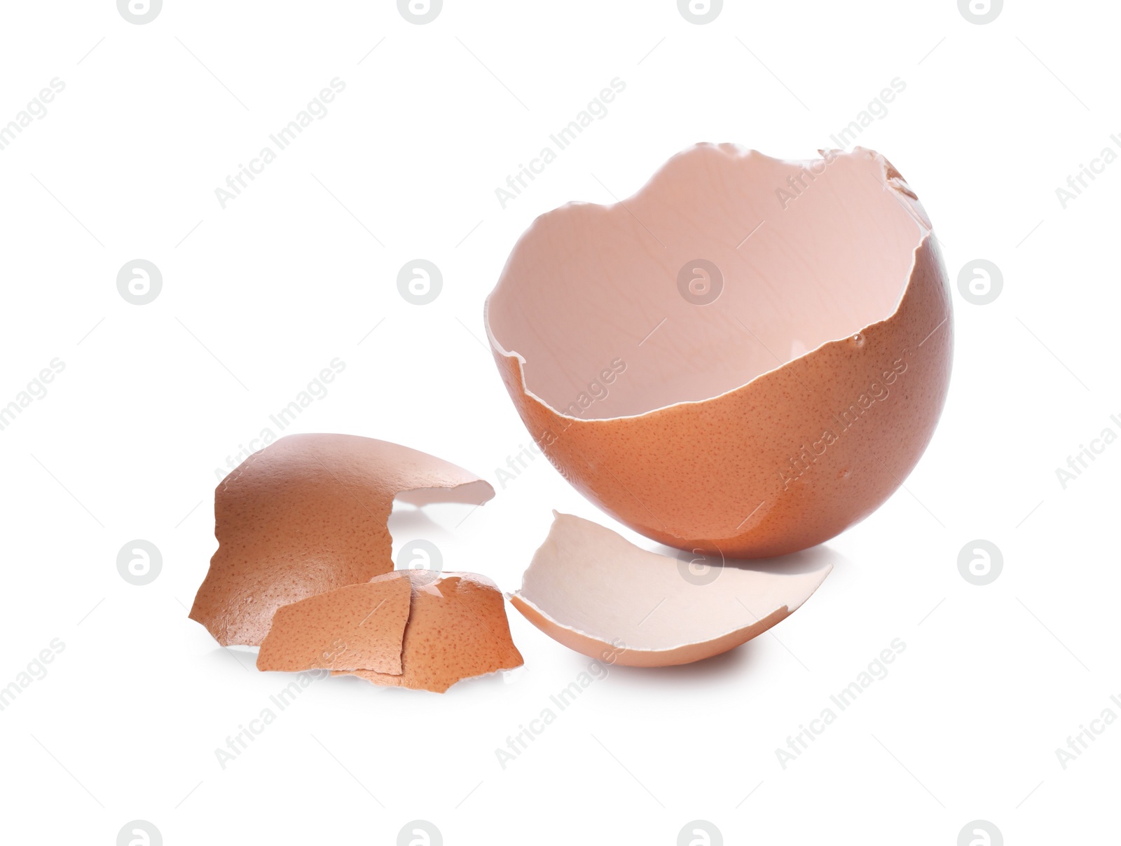 Photo of Shells of chicken egg isolated on white