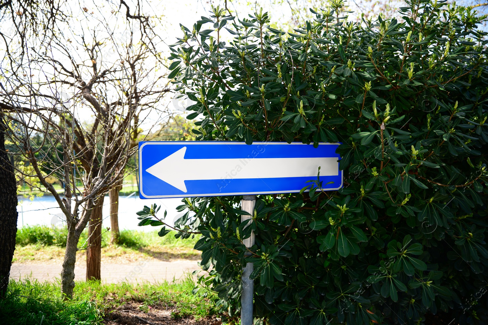 Photo of Road sign One Way Traffic near green plant outdoors