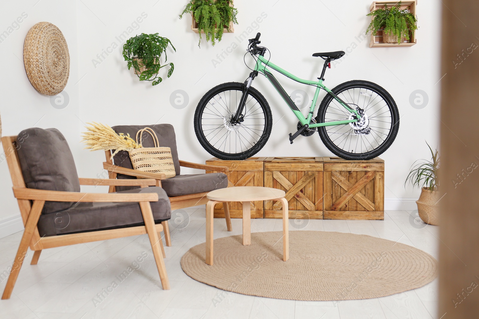 Photo of Modern bicycle and comfortable armchairs in stylish living room interior