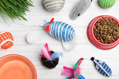 Photo of Flat lay composition with different pet toys and feeding bowls on white wooden background