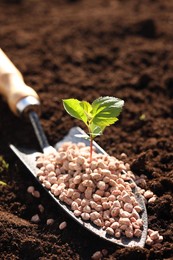 Photo of Shovel with fertilizer and seedling on soil, closeup