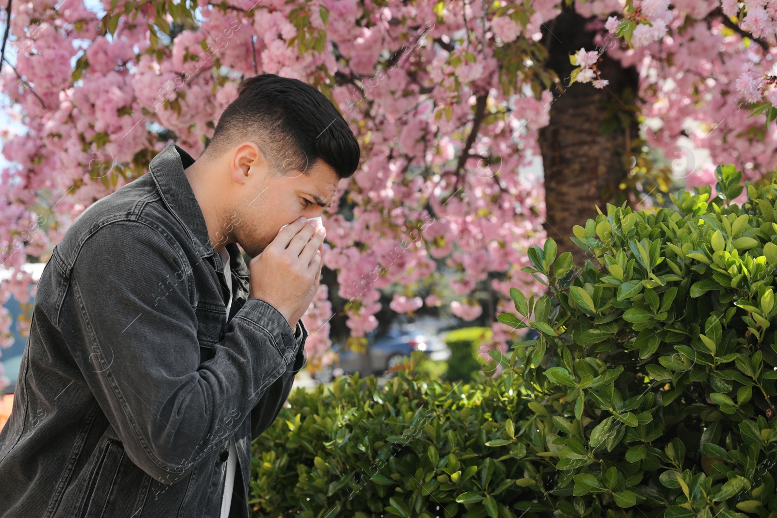 Photo of Man suffering from seasonal pollen allergy near blossoming tree outdoors