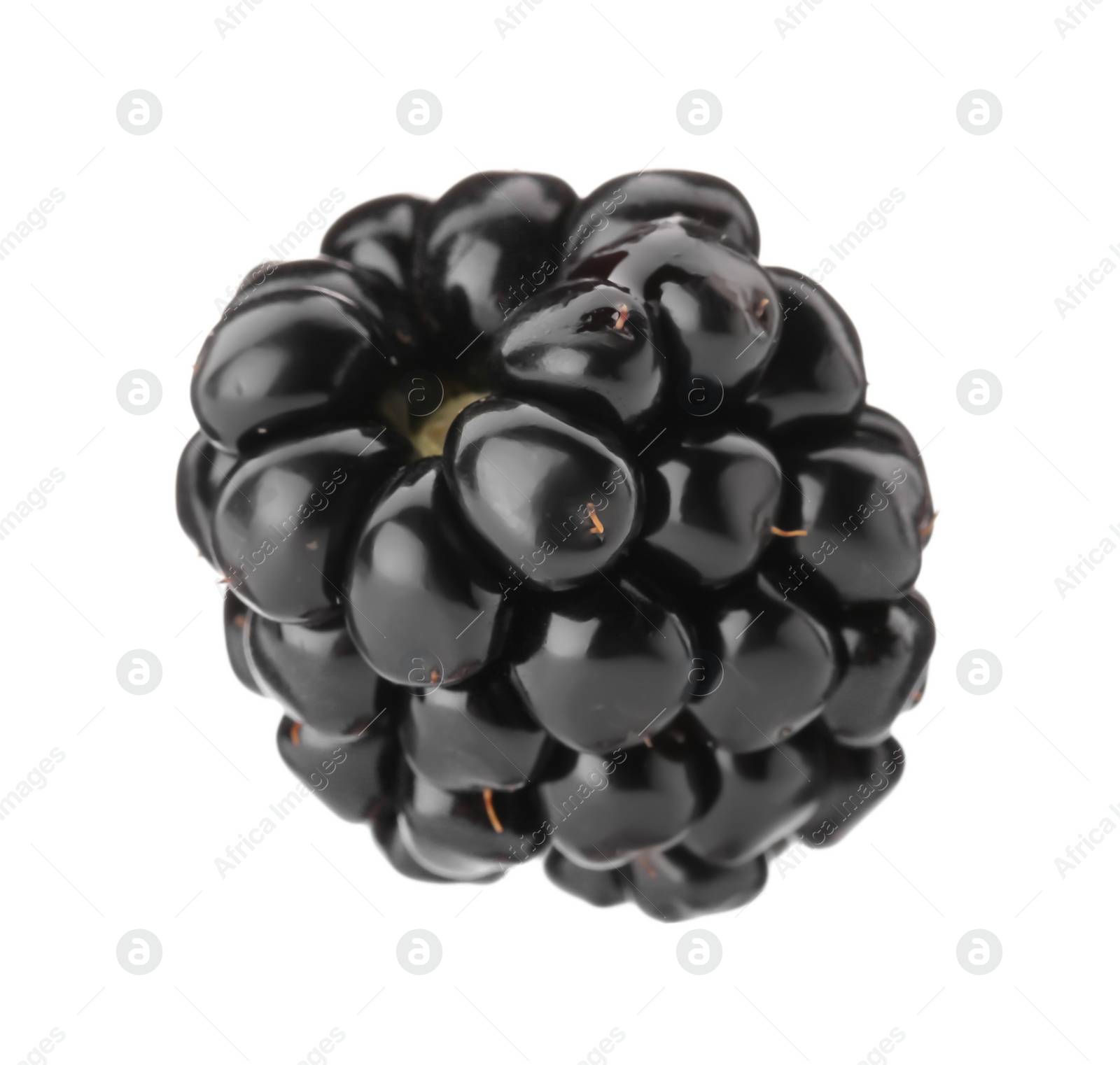 Photo of One tasty ripe blackberry isolated on white