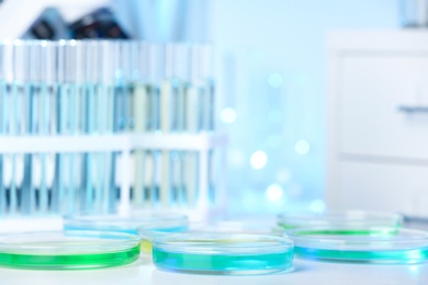 Petri dishes with liquid on table in laboratory. Chemical analysis