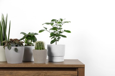 Photo of Many different houseplants in pots on wooden table near white wall, space for text