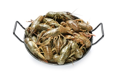 Photo of Fresh raw crayfishes isolated on white. Healthy seafood