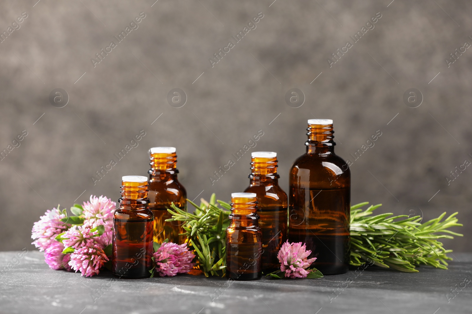 Photo of Bottles with essential oils, clover and rosemary on grey textured table. Space for text