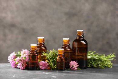 Photo of Bottles with essential oils, clover and rosemary on grey textured table. Space for text