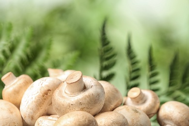 Photo of Fresh champignon mushrooms on blurred background, closeup view