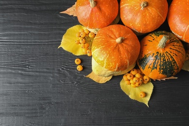 Photo of Orange pumpkins on dark background, flat lay composition with space for text. Autumn holidays