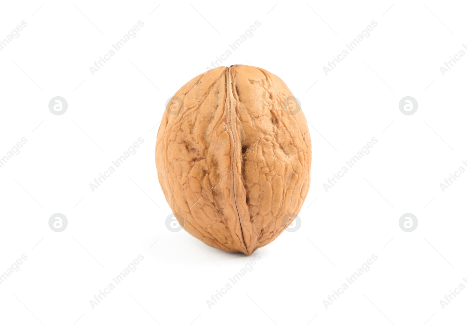 Photo of Whole walnut in shell isolated on white