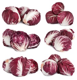 Image of Set with fresh ripe radicchios on white background 