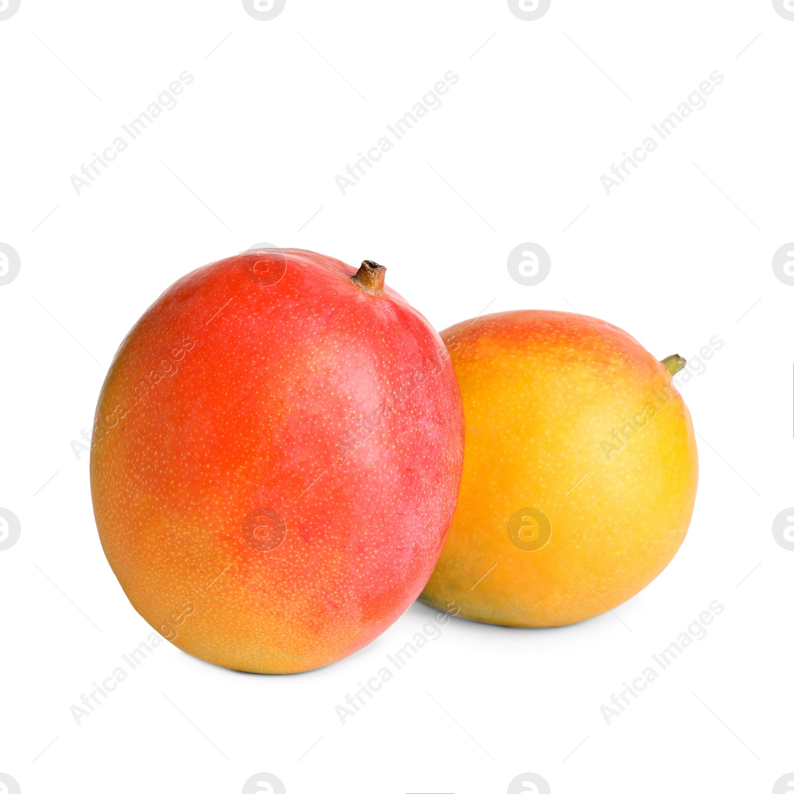 Photo of Delicious ripe juicy mangoes on white background