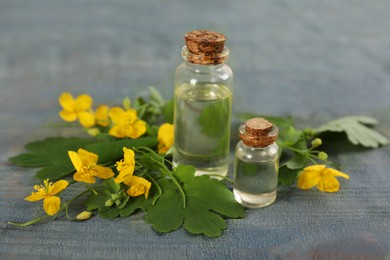 Photo of Bottles of natural celandine oil near flowers on blue wooden table