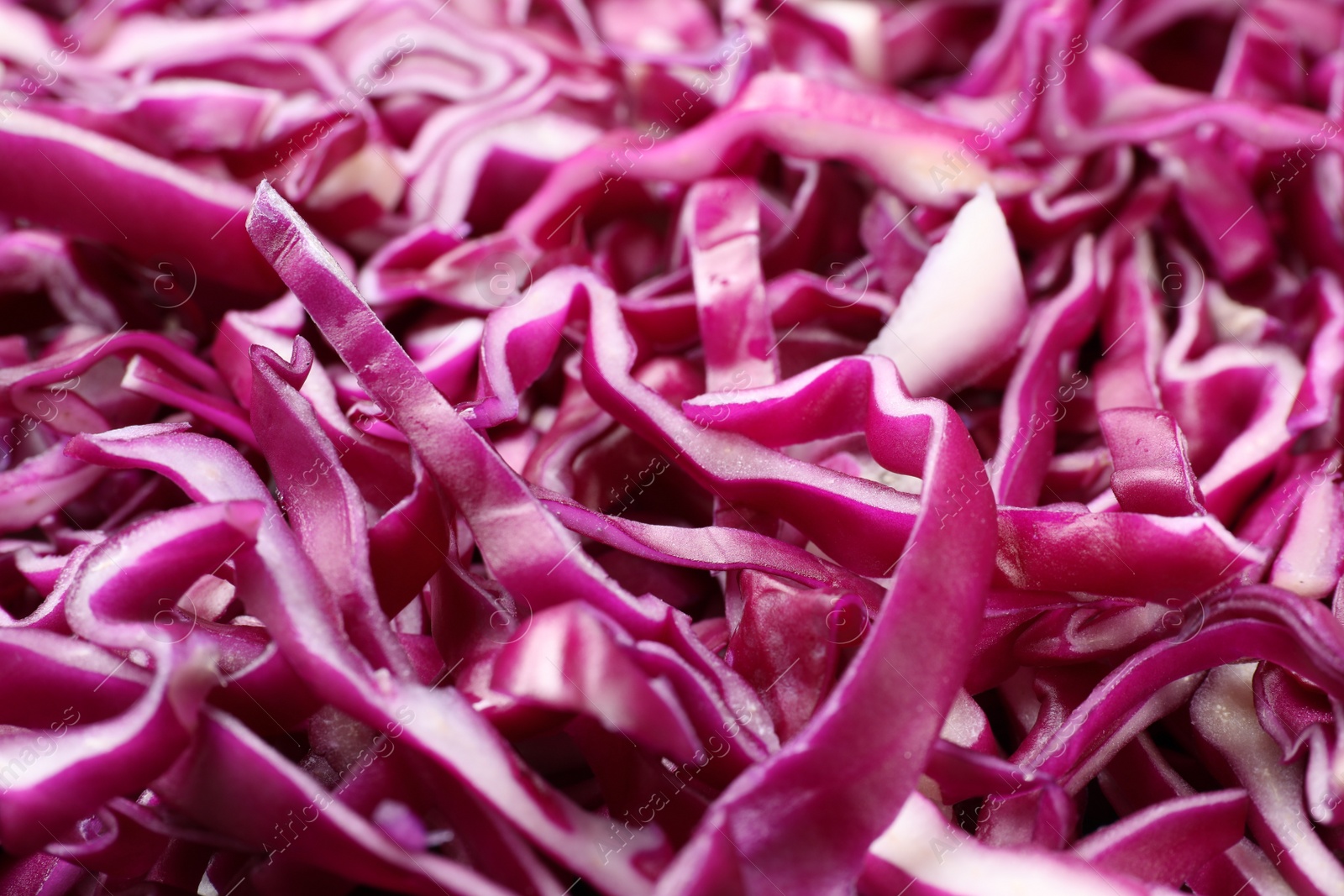 Photo of Tasty fresh shredded red cabbage as background, closeup