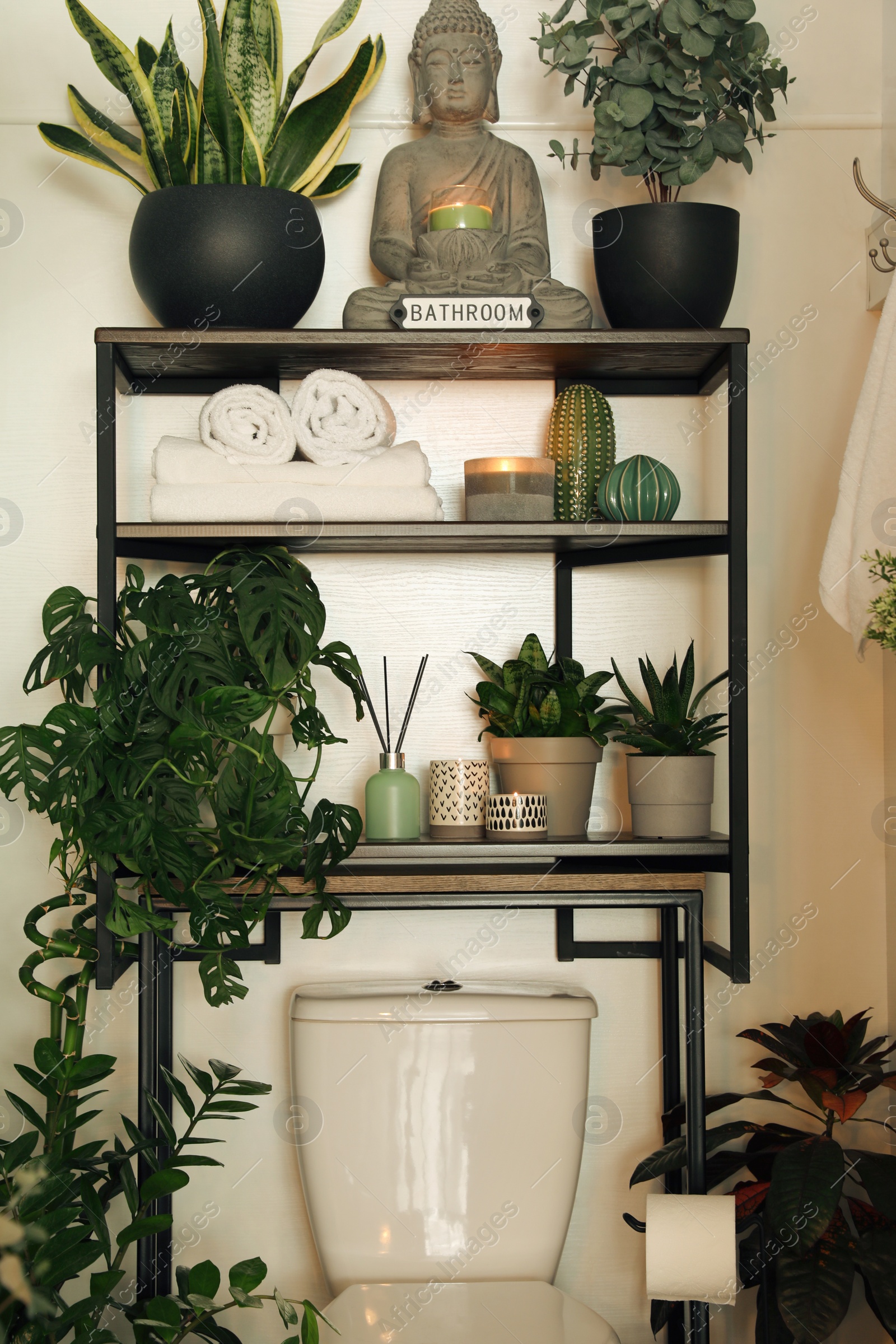 Photo of Stylish restroom interior with toilet bowl and green houseplants