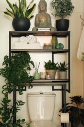 Photo of Stylish restroom interior with toilet bowl and green houseplants