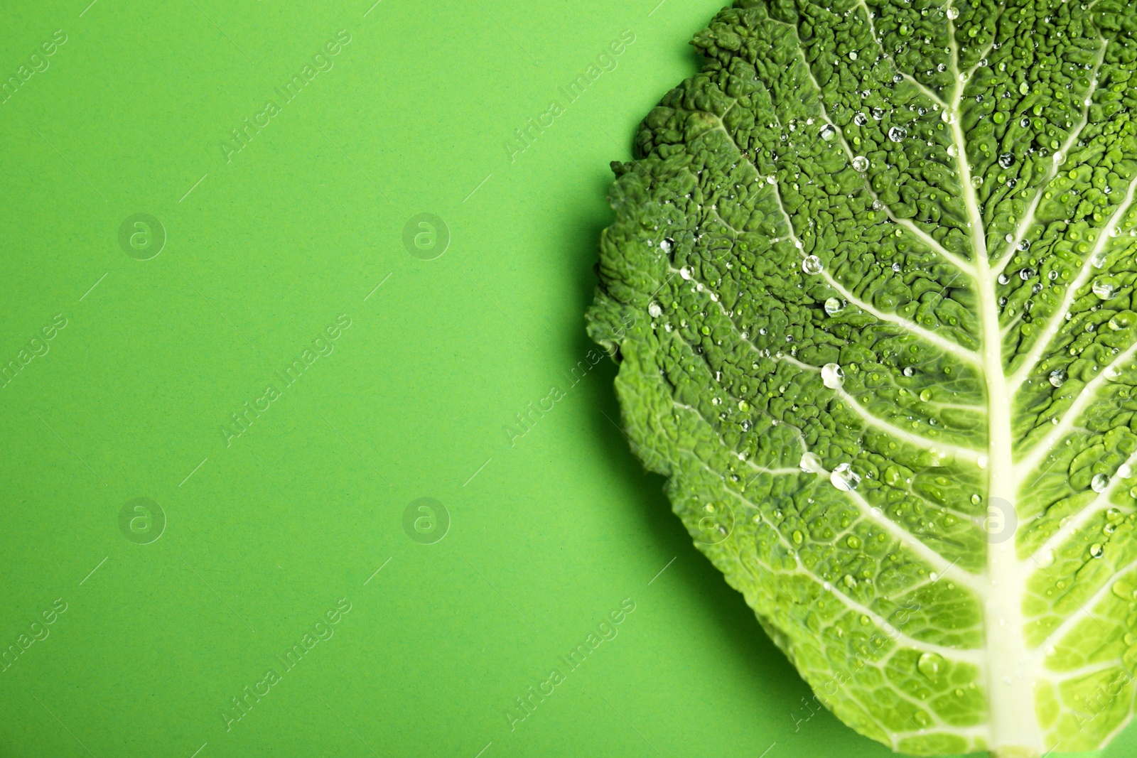 Photo of Green leaf of savoy cabbage and space for text on color background, top view