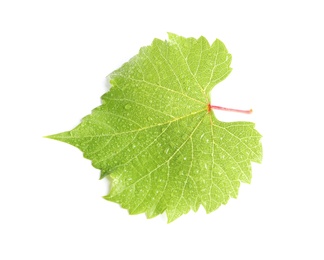 Photo of Fresh green grape leaf on white background